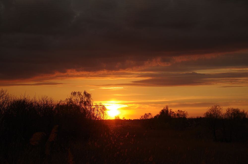 Photograph by Галина Григорьева