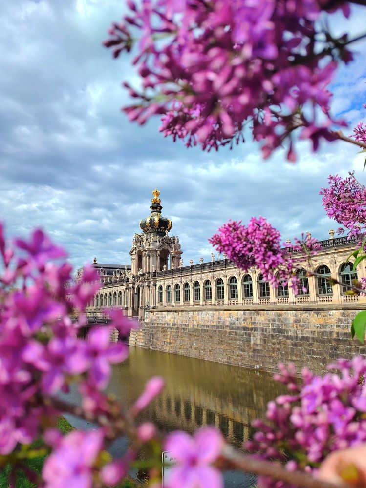 Дрезден. Саксония.