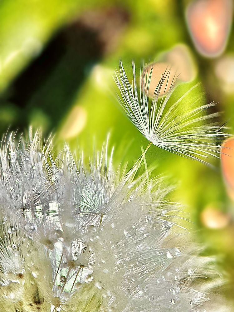 Photograph by Елена Громова