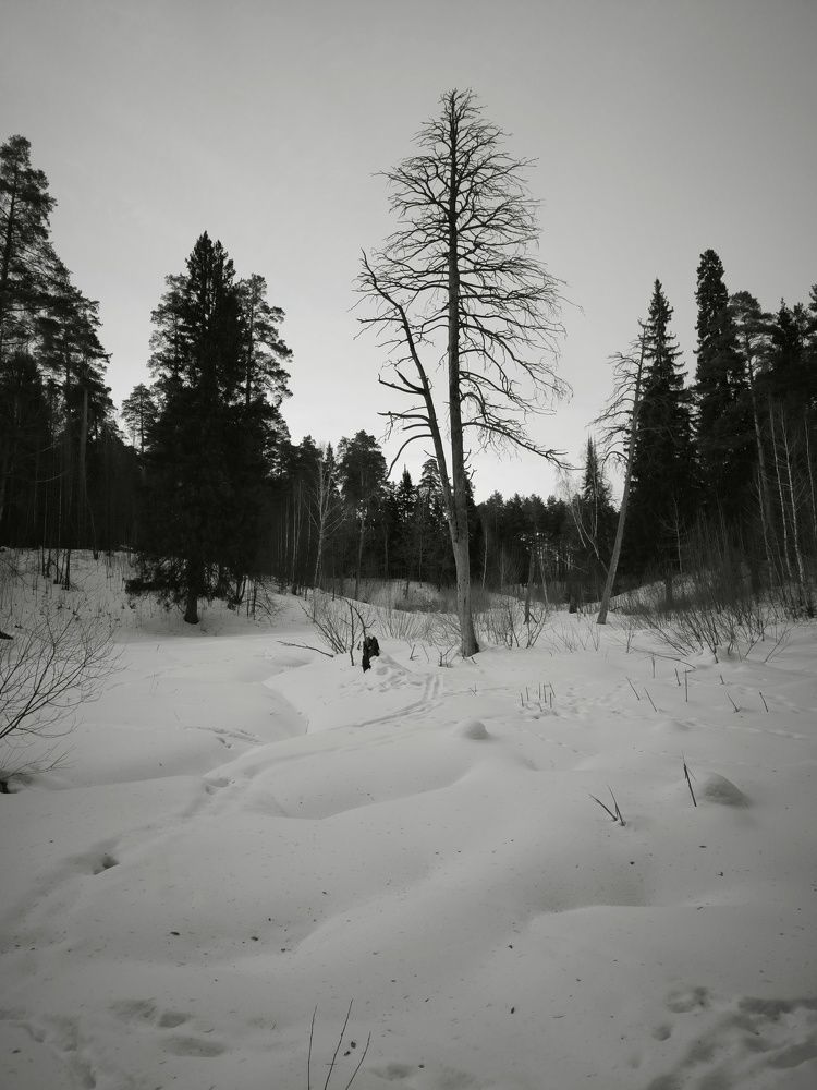 Photograph by Денис Хасанов