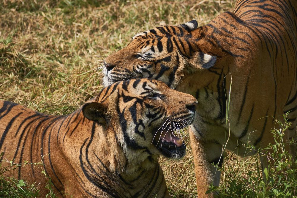 Photograph by Сергей Ветошкин