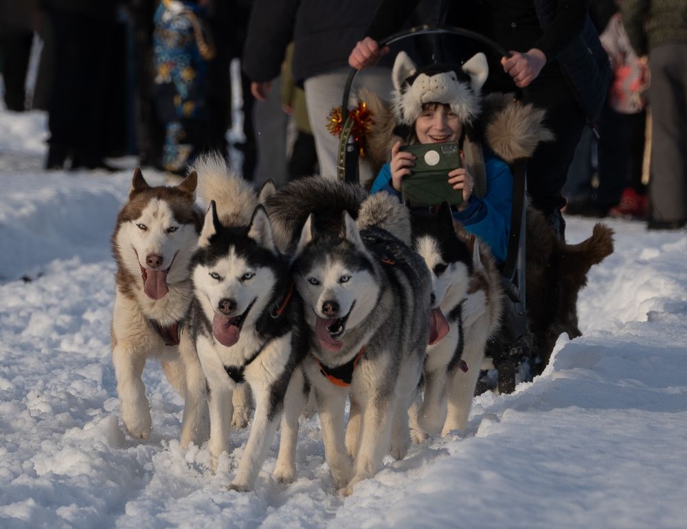 Фотография автора Светлана Зимина