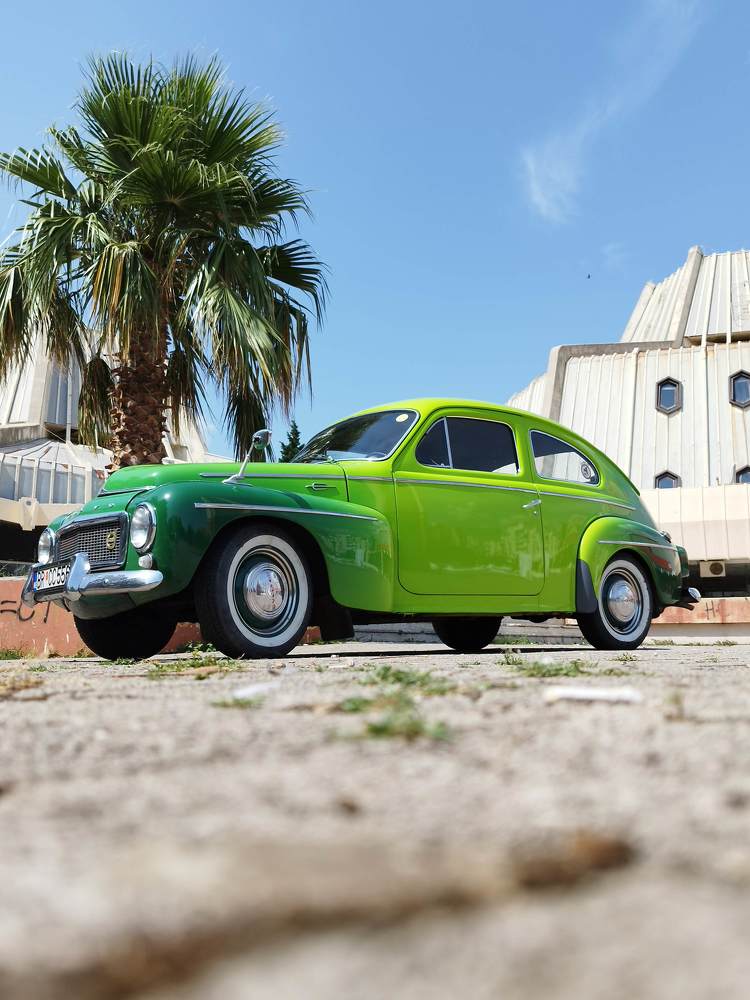 Фотография автора JELENA VASIC