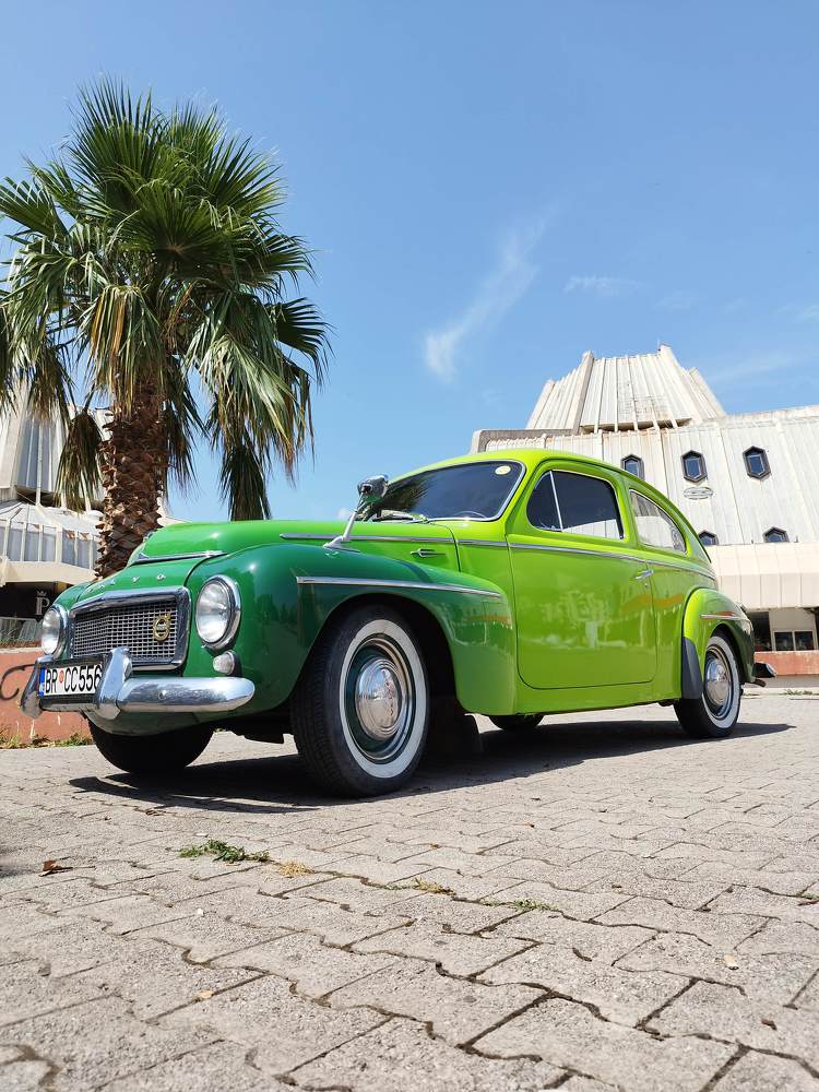 Фотография автора JELENA VASIC