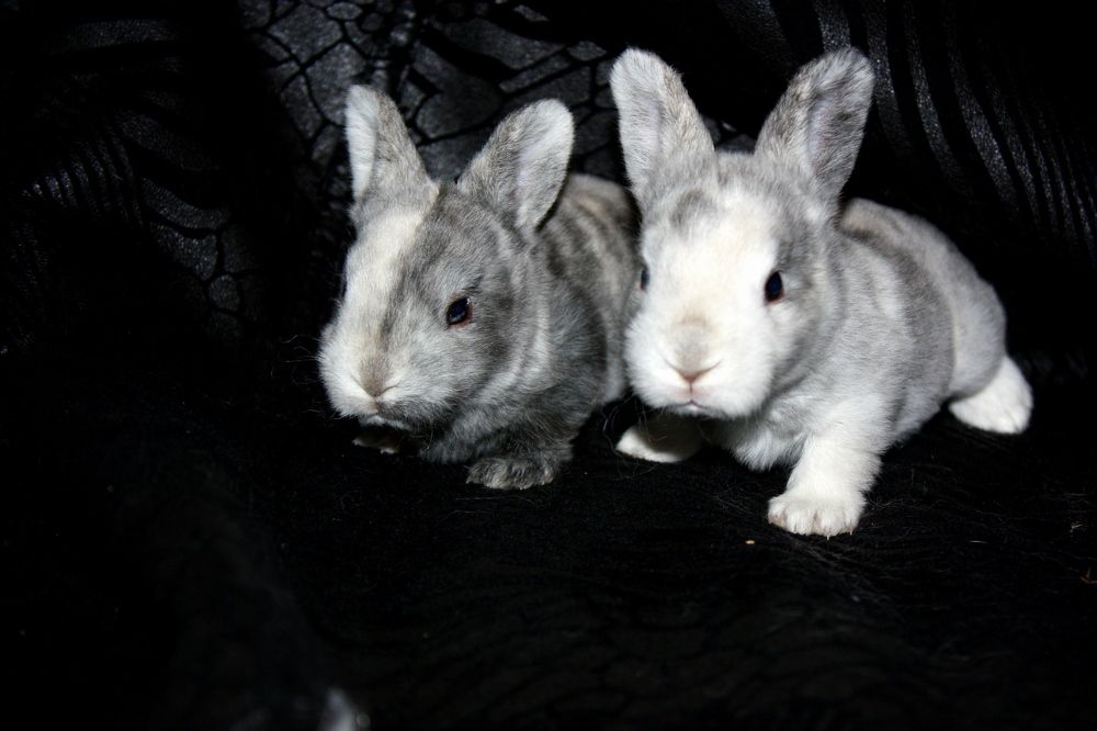 Photograph by Ольга Павлова