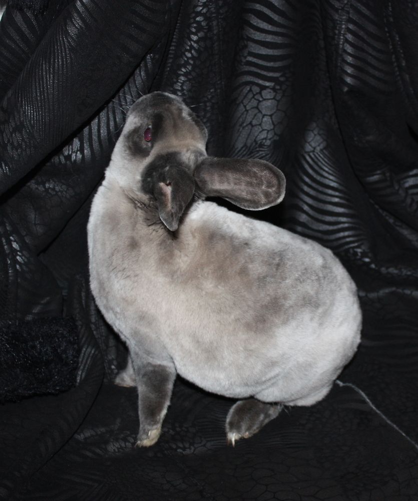 Photograph by Ольга Павлова