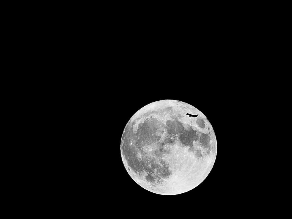 Photo #10519095