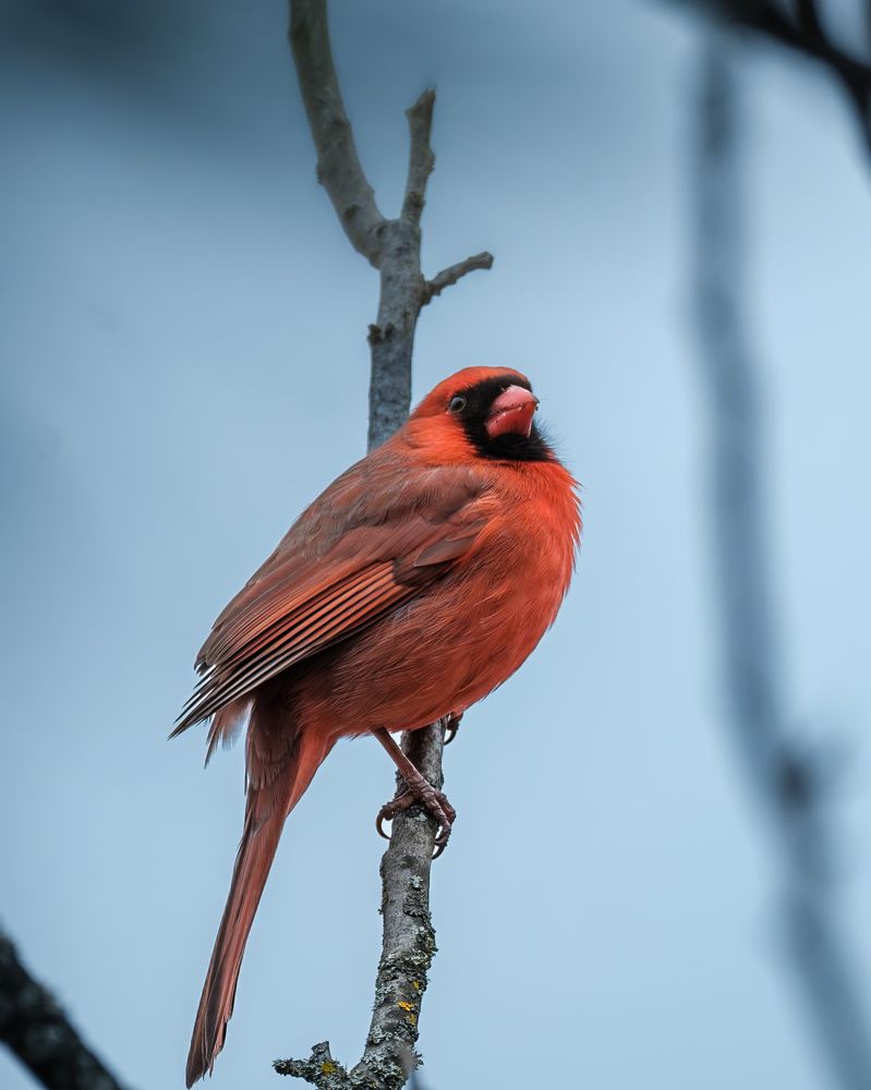 Photograph by Greg Noakes