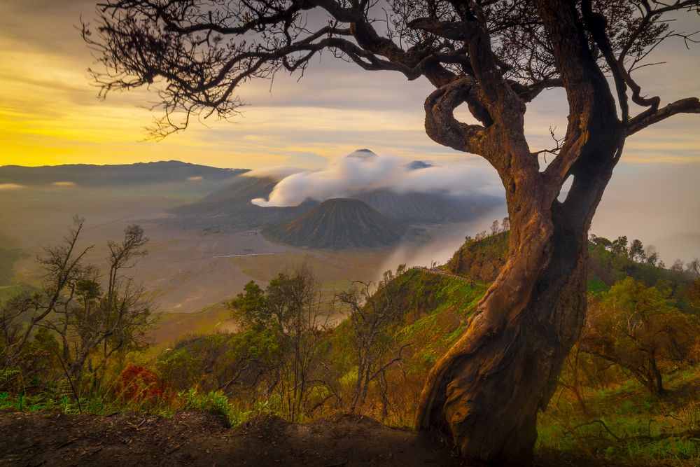 Photograph by DIYANTO SARIRA