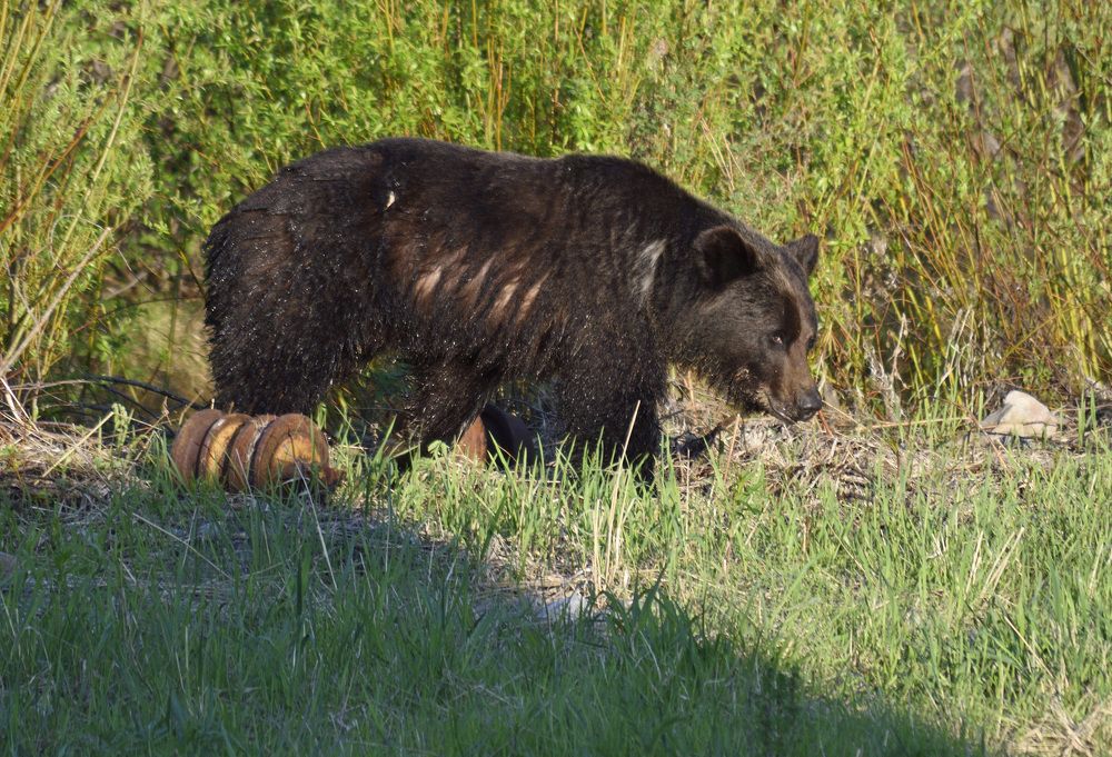 Photograph by Илья Сандлер