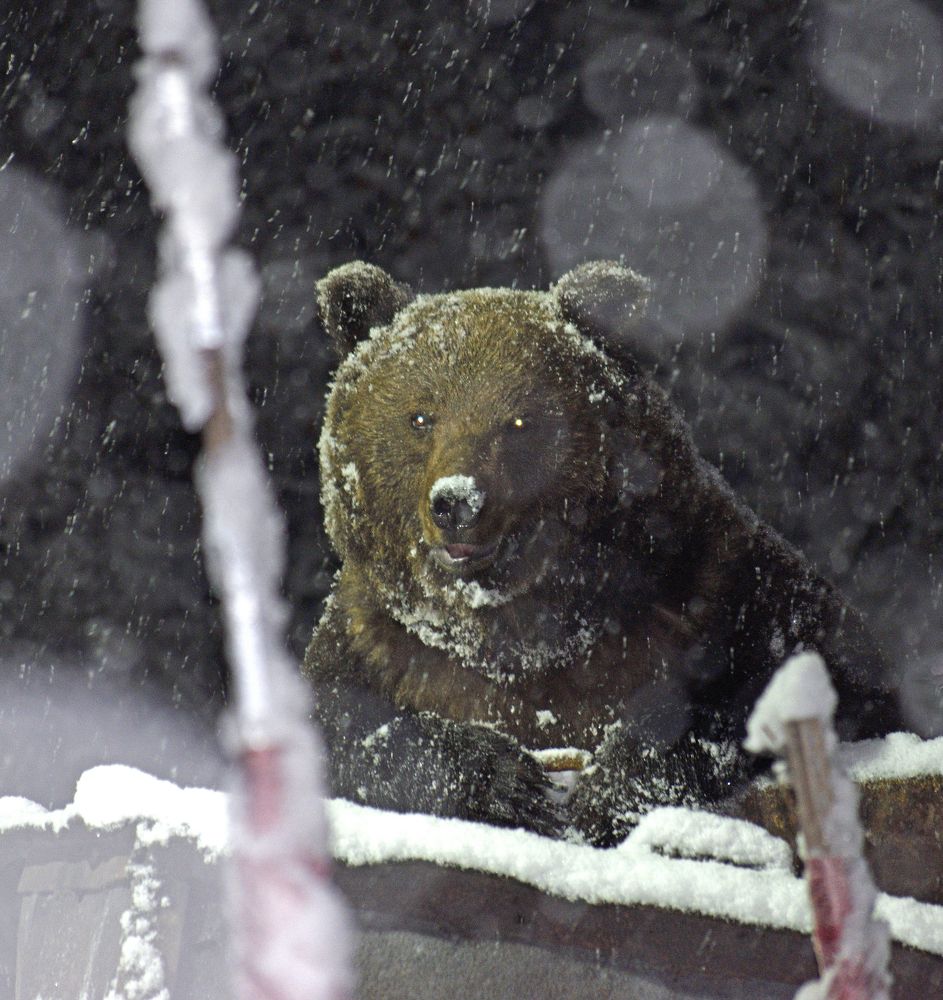 Photograph by Илья Сандлер