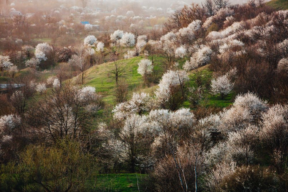 Фотография автора Вазген Бояджян