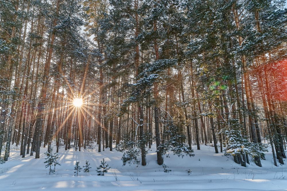 Фотография автора Александр Еремин