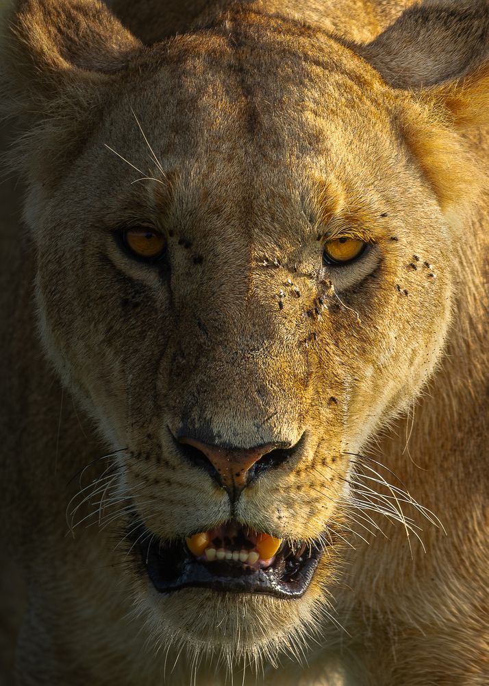 Photograph by SETHU RAJ R