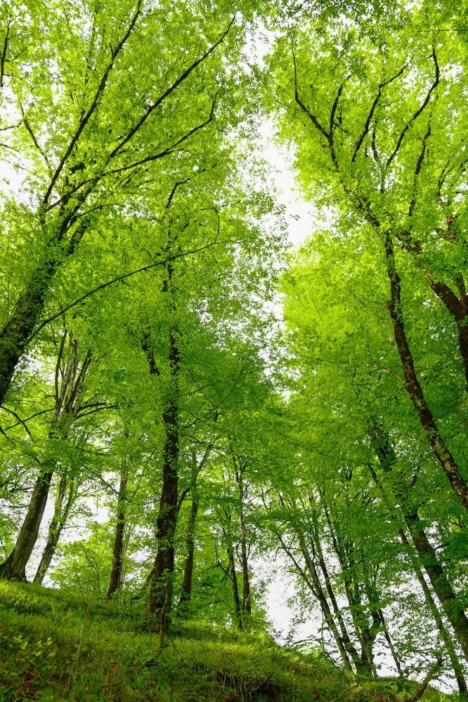 Photograph by Hadi Hadipour