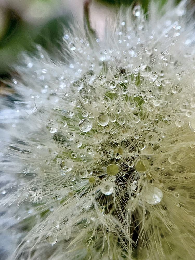 Photograph by Елена Громова