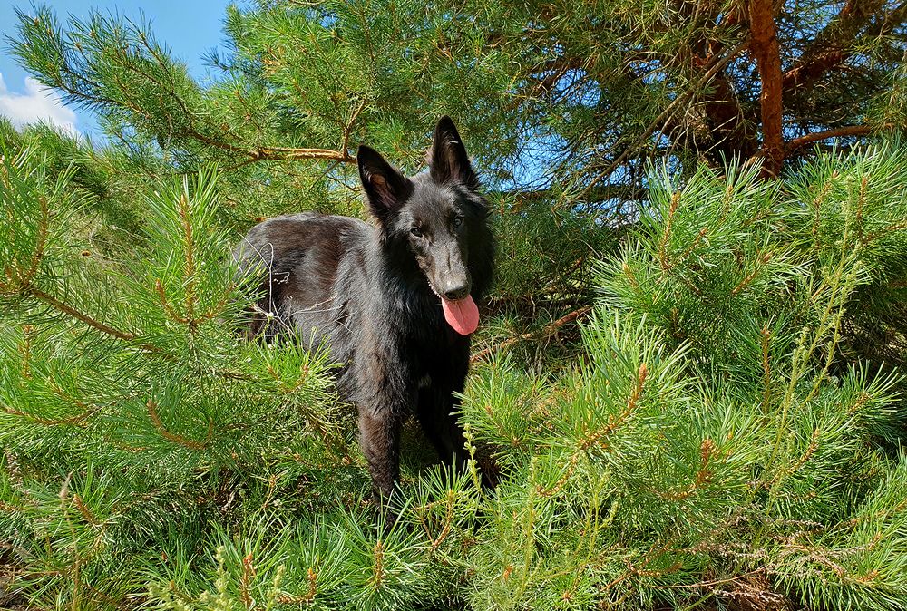 Фотография автора Надежда Лисицына