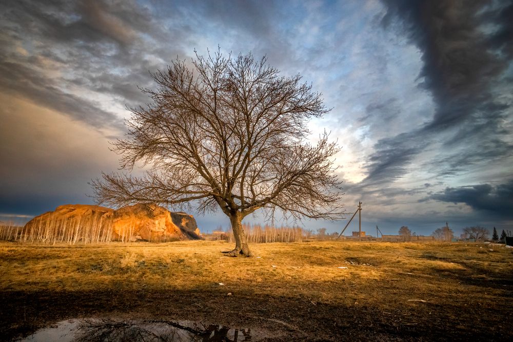 Фотография автора 