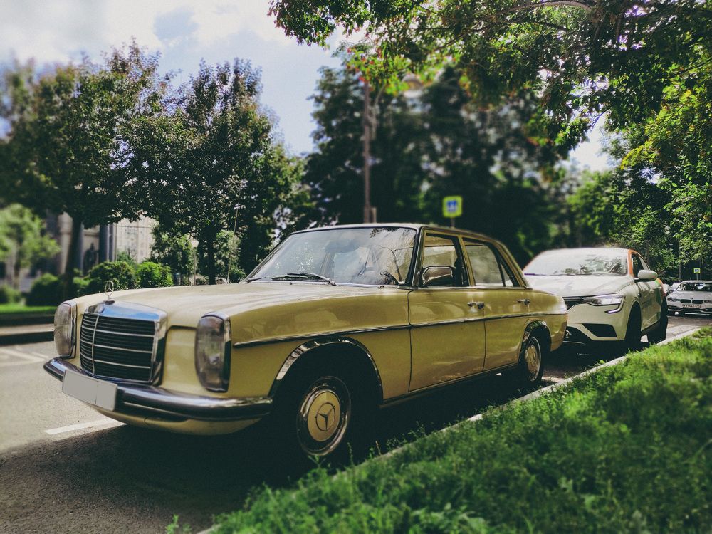 Фотография автора Ирина Гриценко