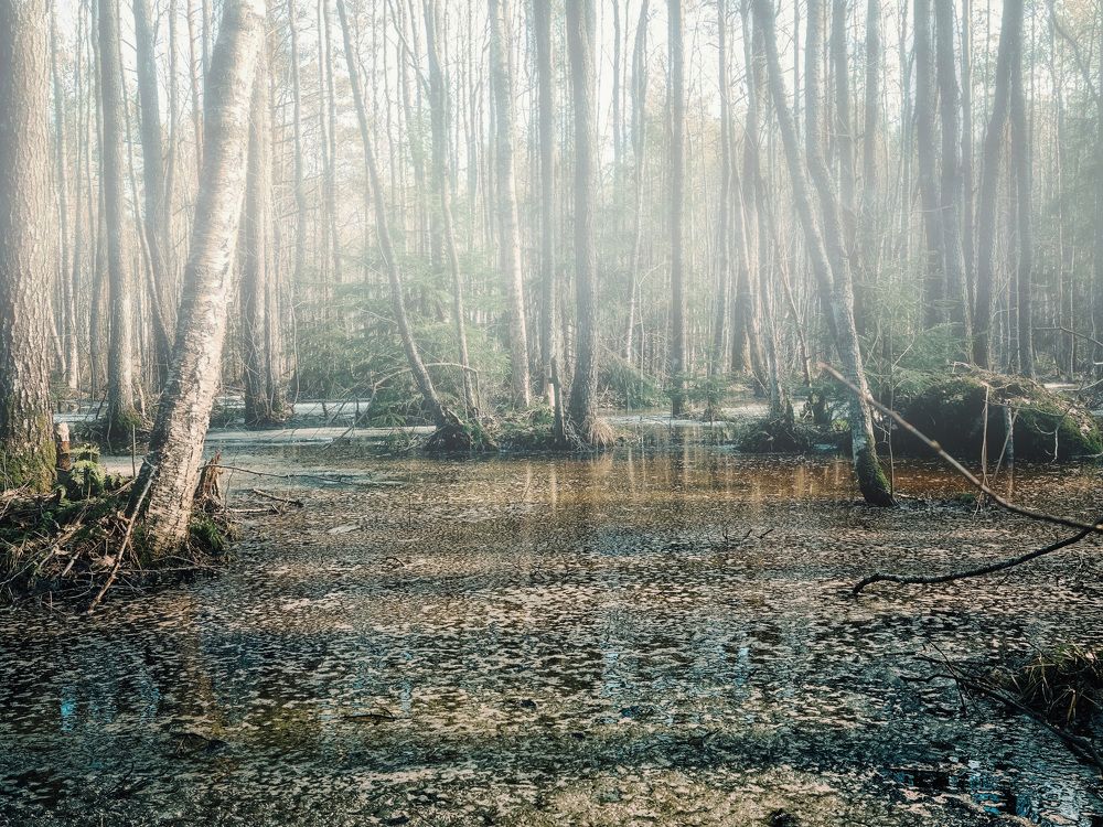 Photograph by Константин Терёхин