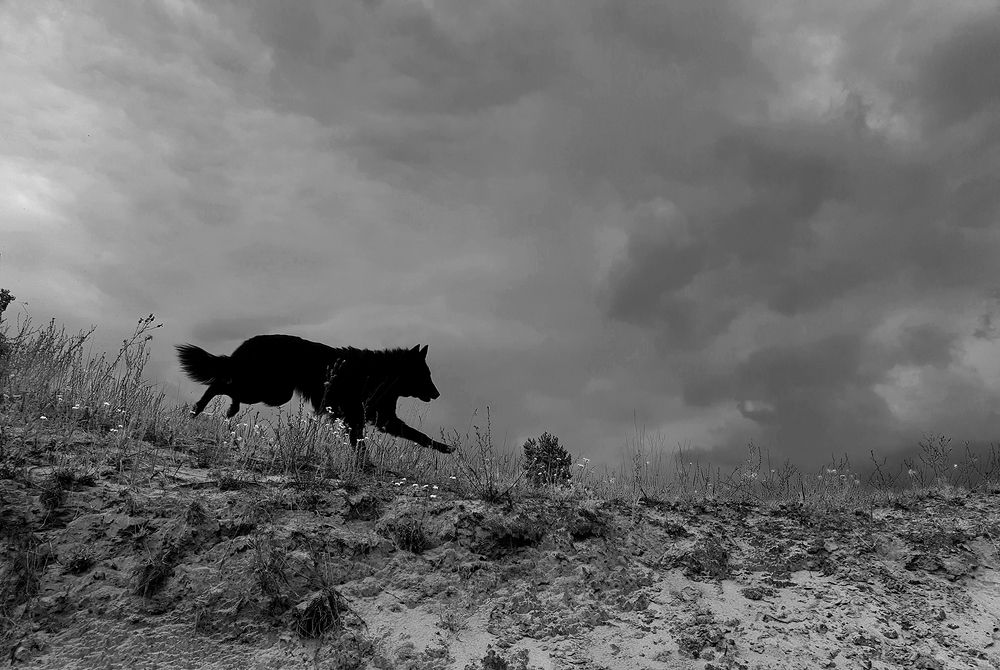 Фотография автора Надежда Лисицына