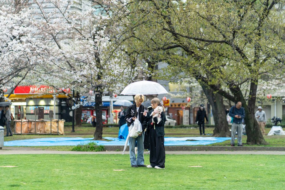 Photograph by SHAKE MD SAMIR