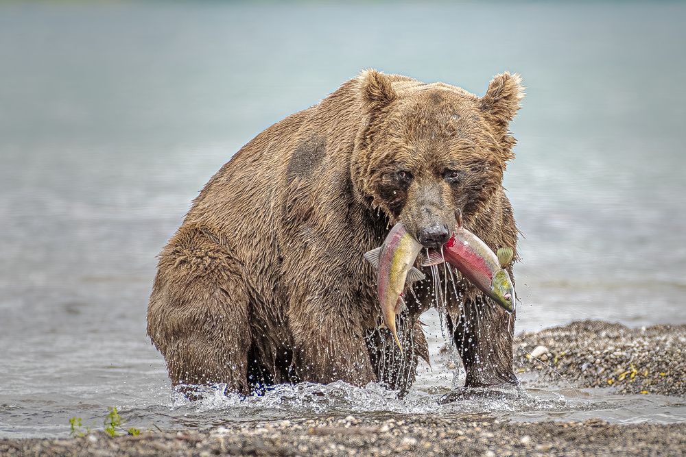 Photograph by Paolo Barbarini