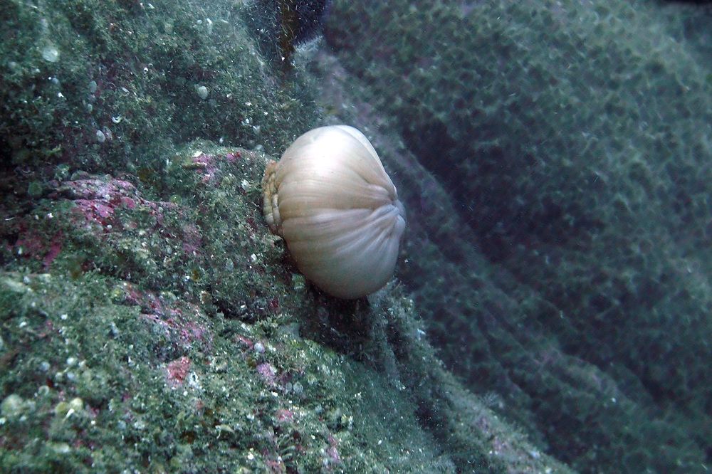 Photograph by DUBINA LEONID