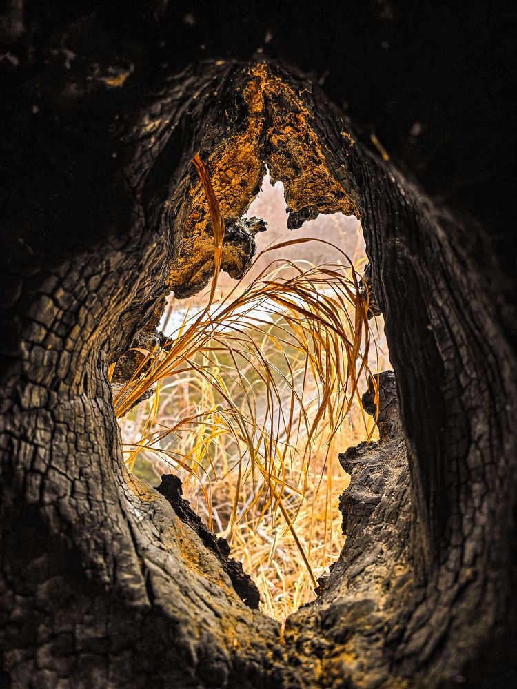 Photograph by Наталья Чередниченко