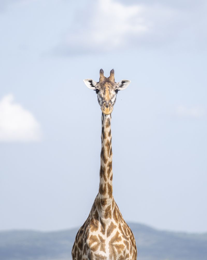 Photograph by Jayakumar MN