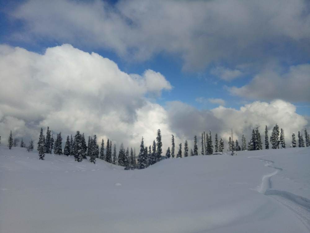 Photo #10519848