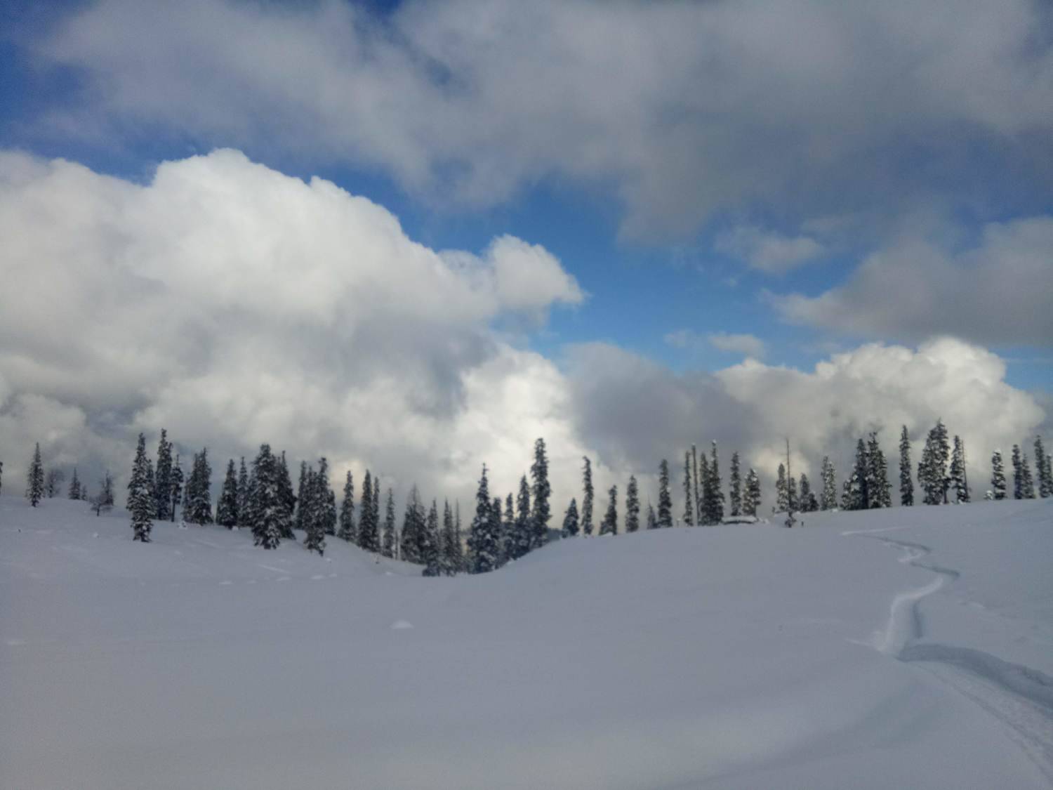Photo #10519848