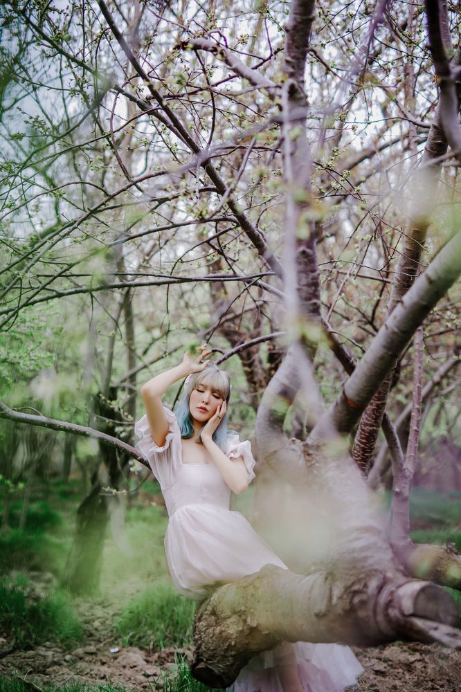 Photograph by mahsa majidipour