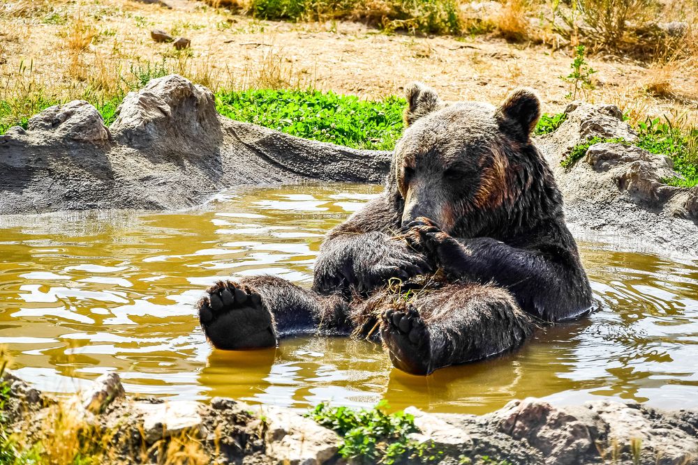 Photograph by Ivars Andrups