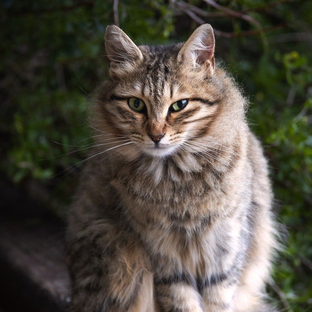 Photograph by Antonis Papaconstantinou