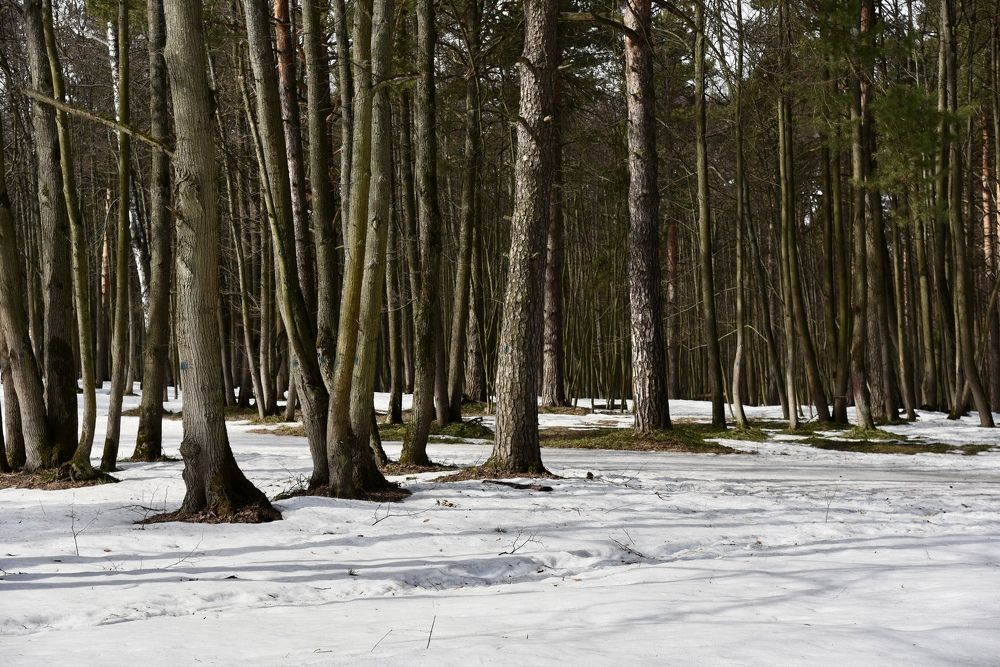 Photograph by Ольга Струкалина