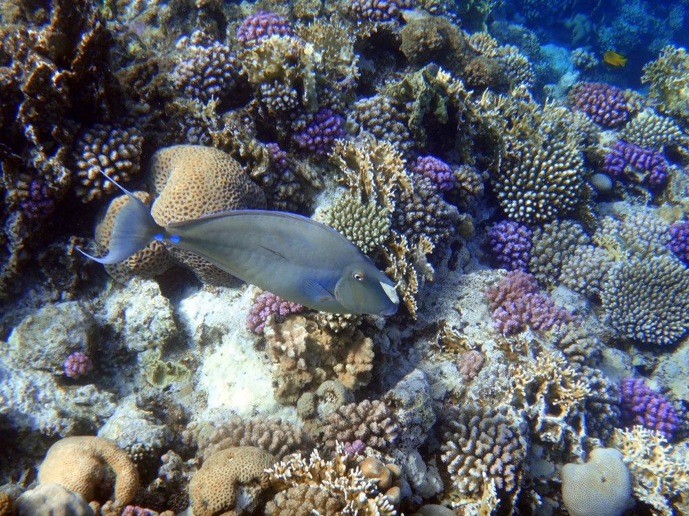 Photograph by Игорь Пшеничников