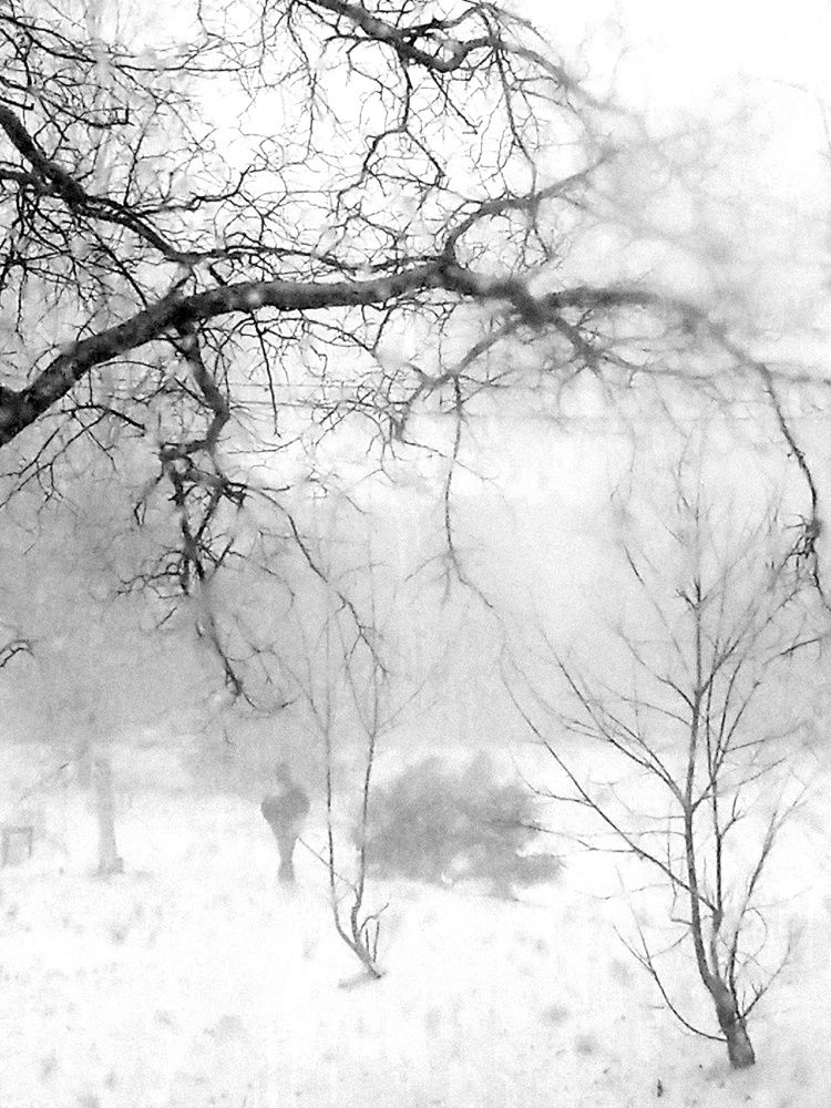 3 aпреля  2024 г,   СПб.