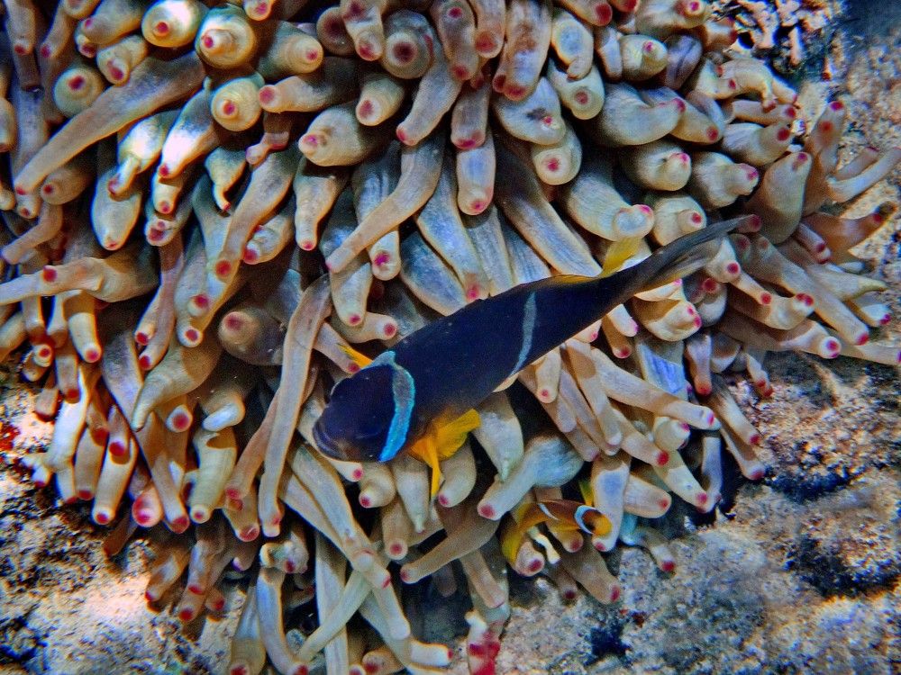 Photograph by Игорь Пшеничников