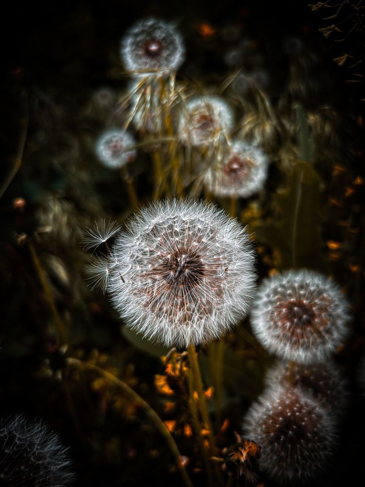 Photograph by Никулина Анастасия