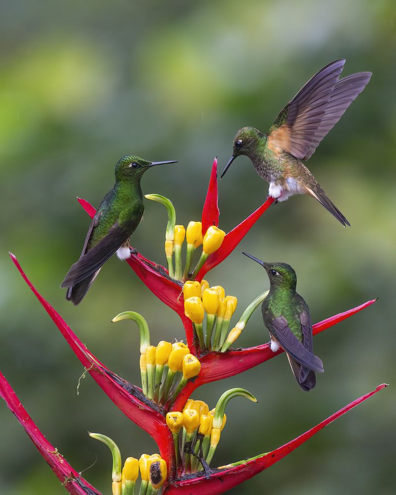 Photograph by Jefferson R O Silva