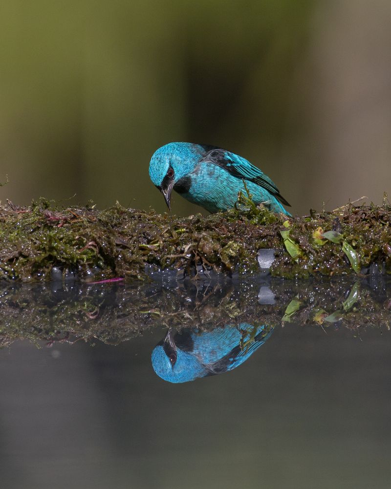 Photograph by Jefferson R O Silva