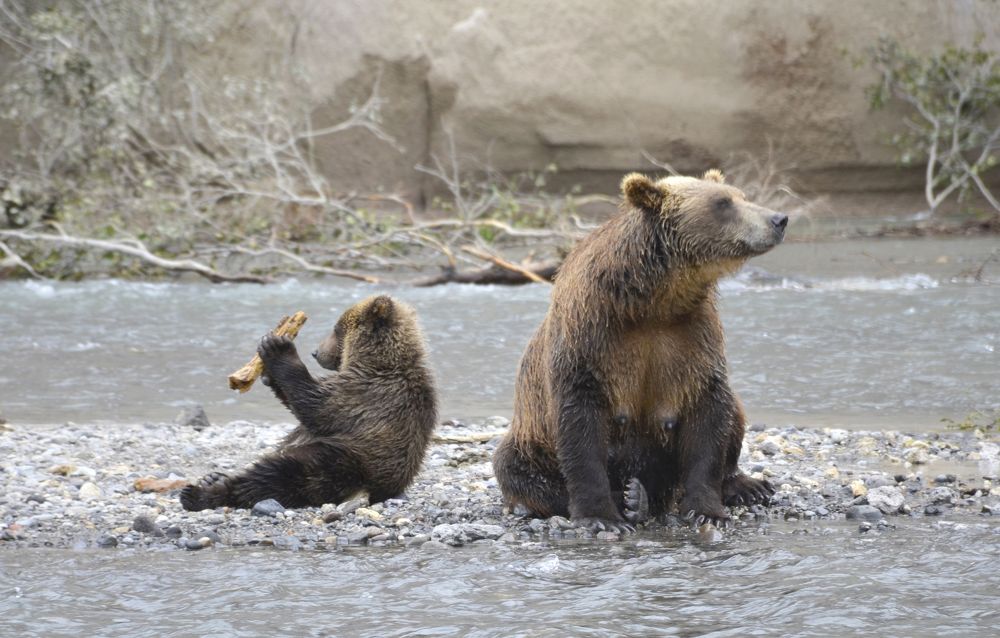 Photograph by Татьяна ТУРСКАЯ