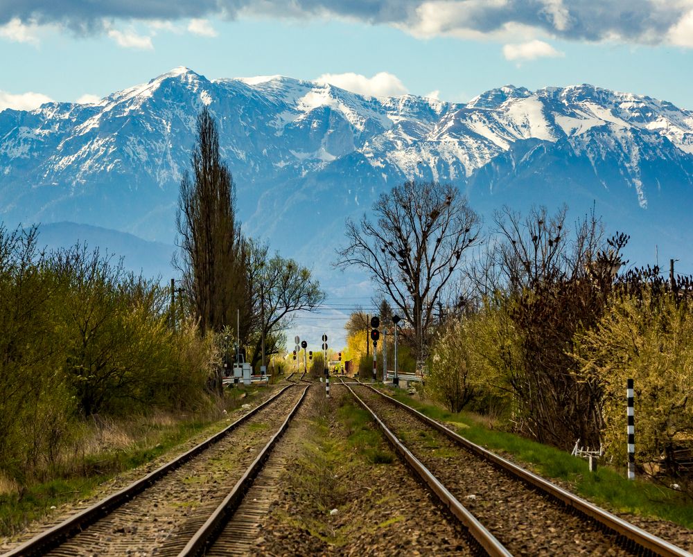 Фотография автора COMSA BOGDAN