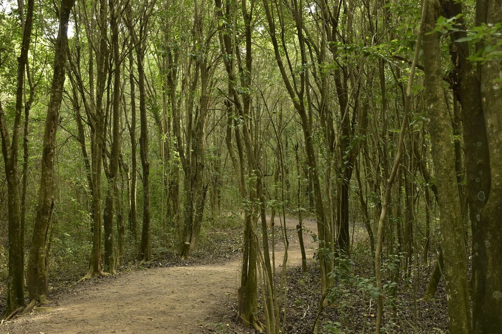 Photograph by Silvia Agostinis