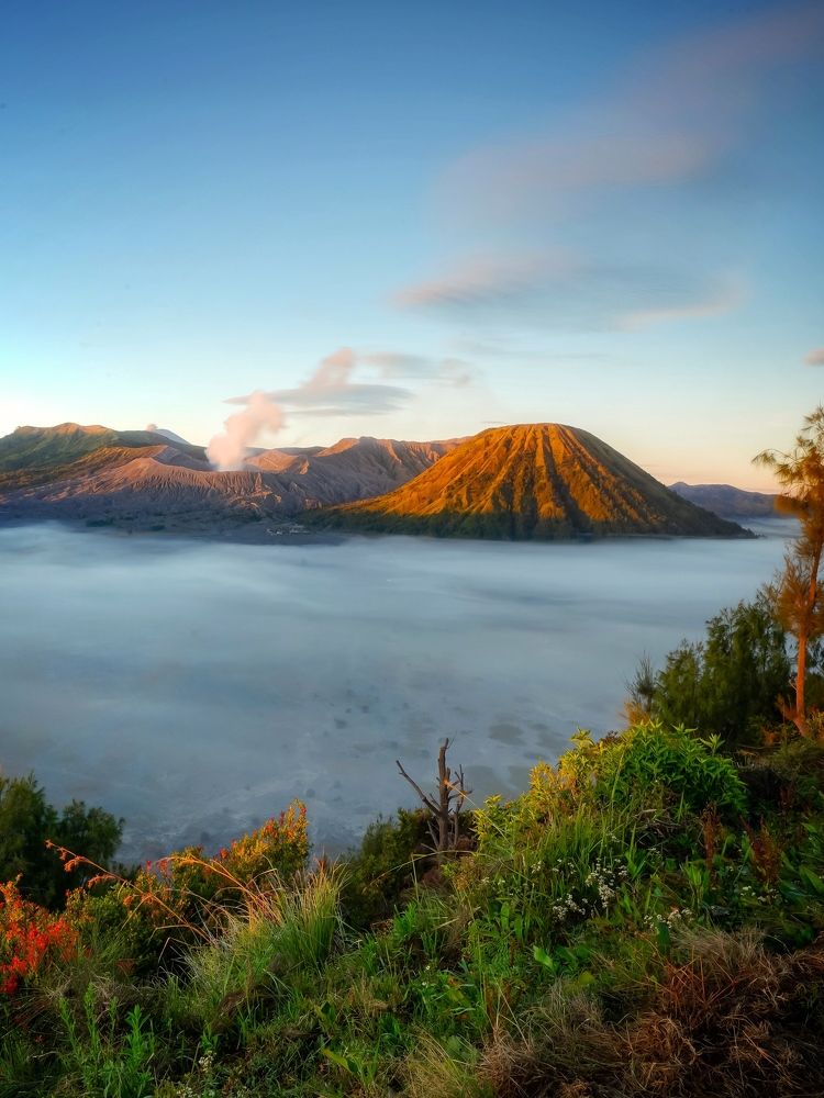 Фотография автора Henri Fitriadi