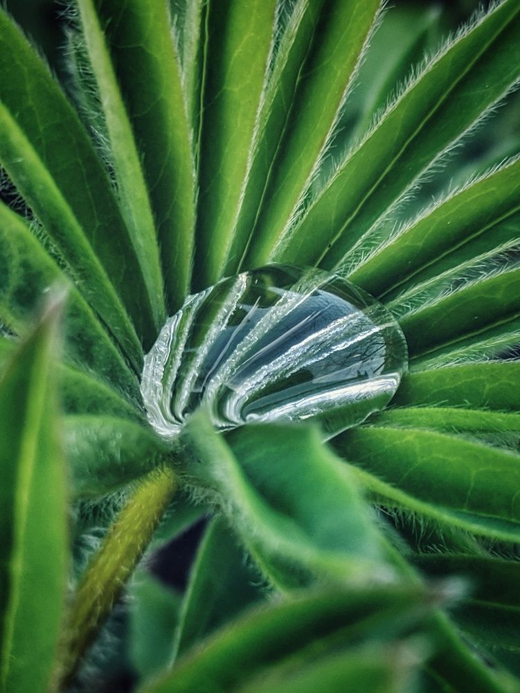 Photograph by Наталья Егорова