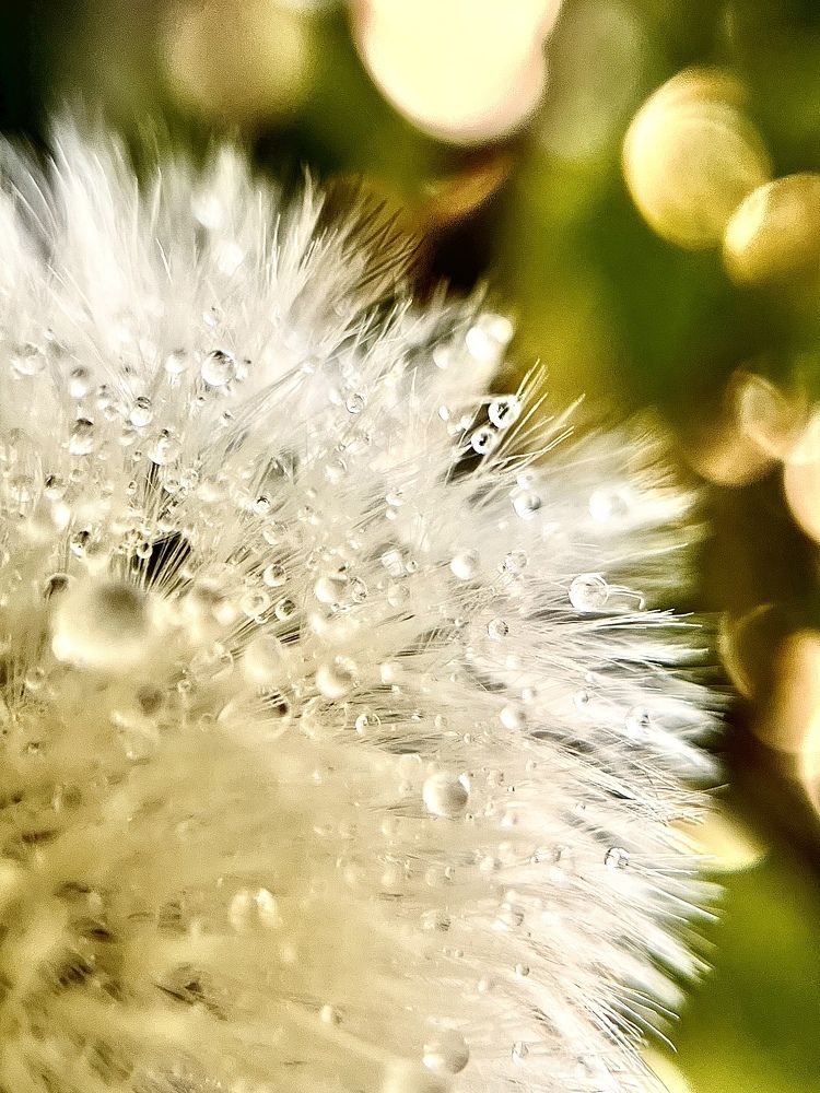 Photograph by Елена Громова