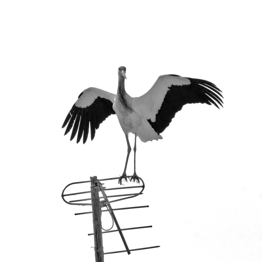 Photograph by Евгения