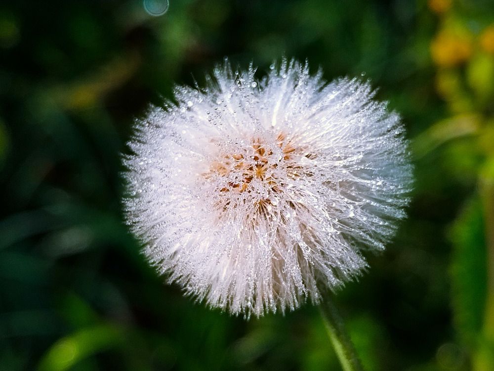 Photograph by Gildo Campos Correa